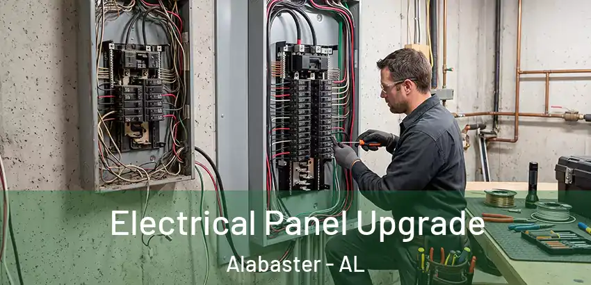  Electrical Panel Upgrade Alabaster - AL